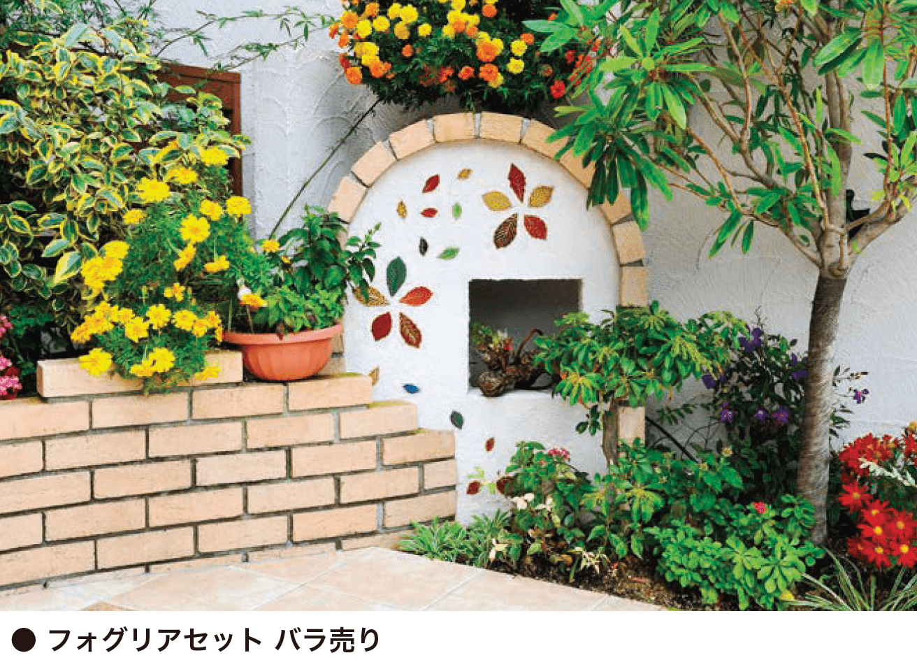 オンリーワンクラブの「フォグリア」のサブ画像2