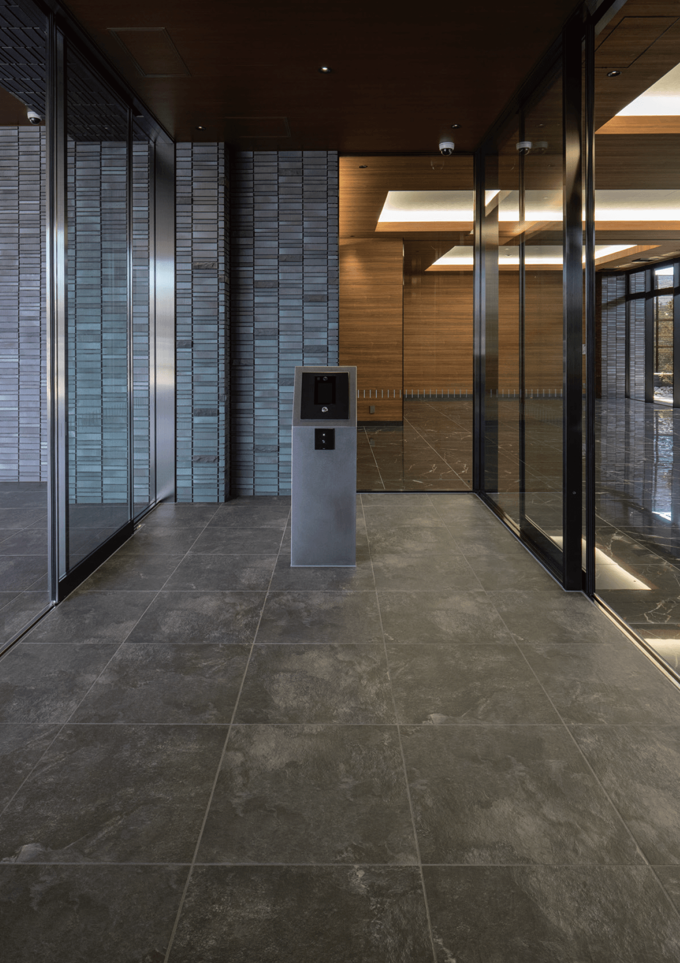 アイコットリョーワの「イオニア」