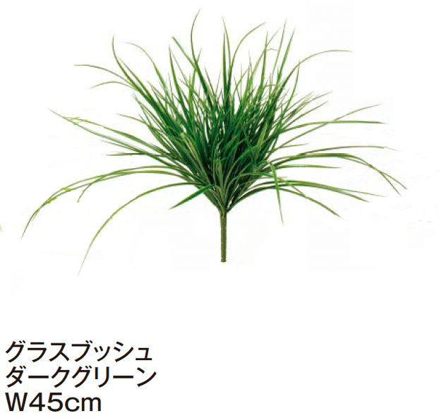 タカショーの「グランドカバー 下草【2024年版】」のサブ画像8