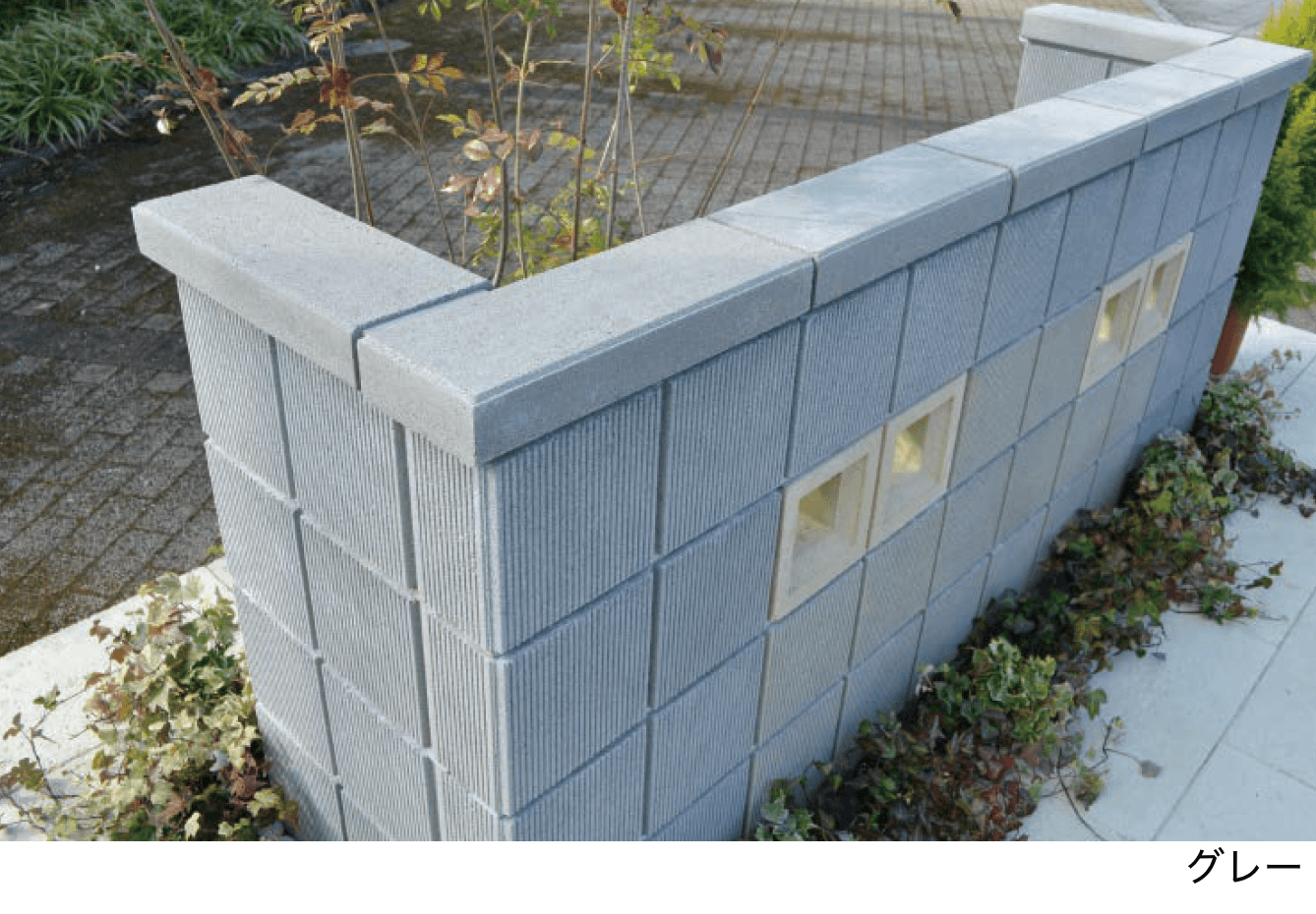 エスビックの「コモンキャップ【2024年版】」