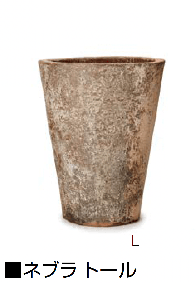 オンリーワンクラブの「ネブラ」のサブ画像3