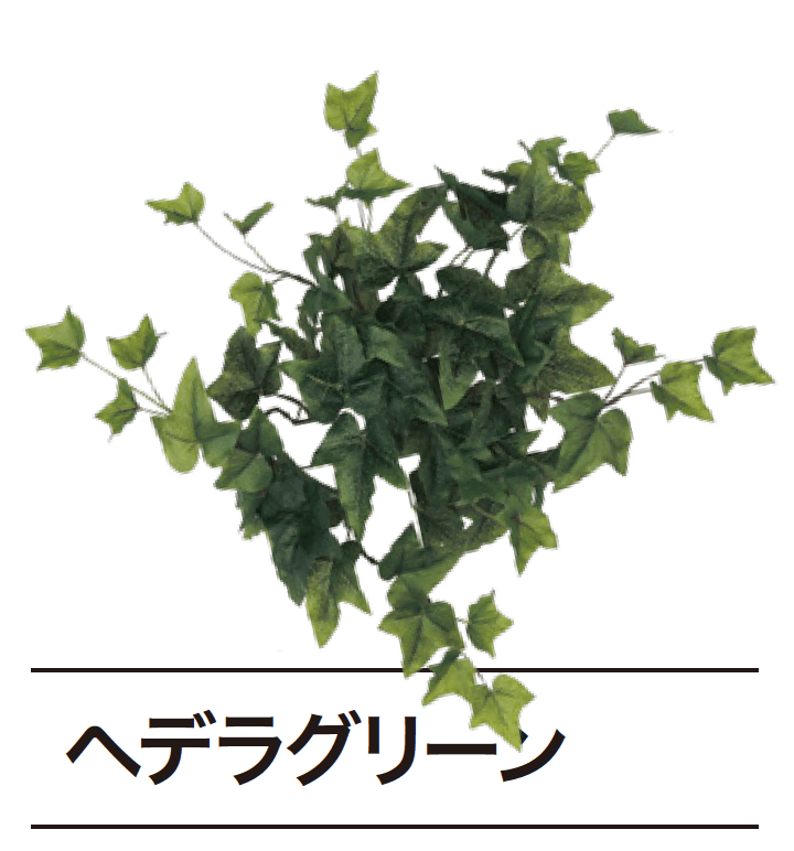 ゆとりの「ぴたっとグリーン【2024年版】」のサブ画像5