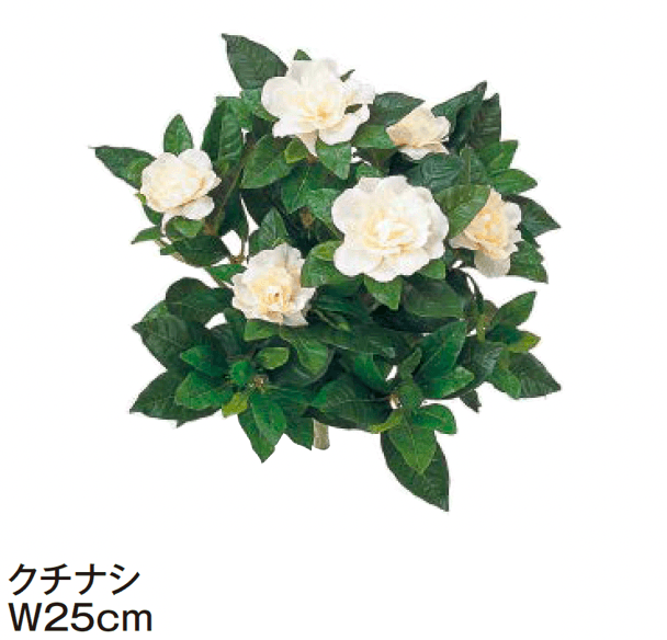 タカショーの「グランドカバー 下草【2024年版】」のサブ画像6