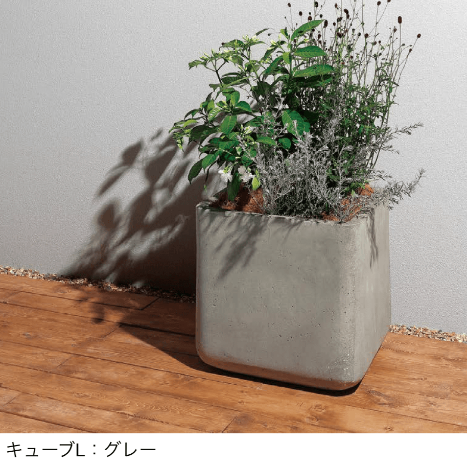 ユニソンの「コーテス」