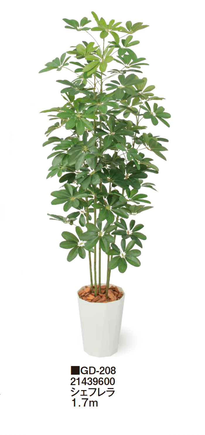 タカショーの「観葉植物【2024年版】」のサブ画像23