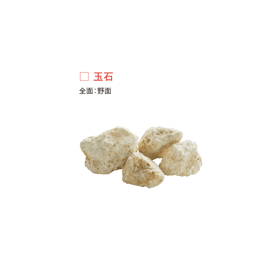 メイクランドの「琉球石灰岩(石灰岩・沖縄県)」のサブ画像4