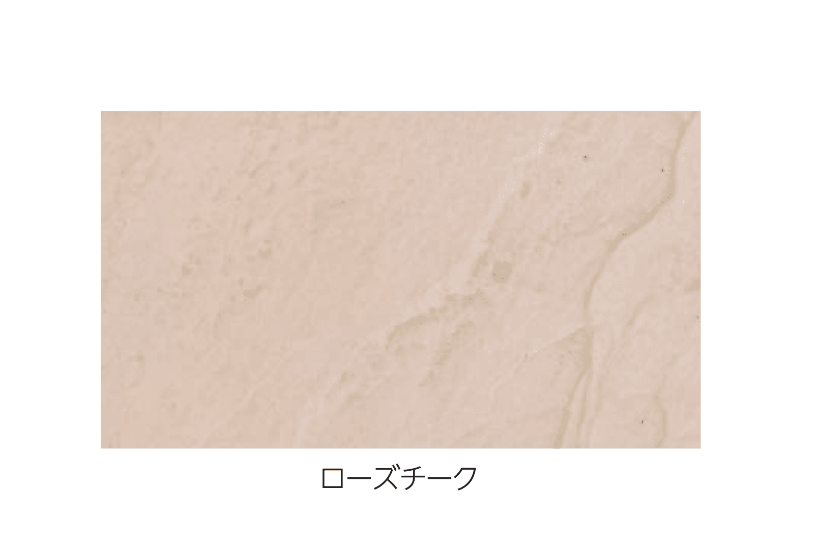 エスビックの「アクシア・ラスキン」のサブ画像4