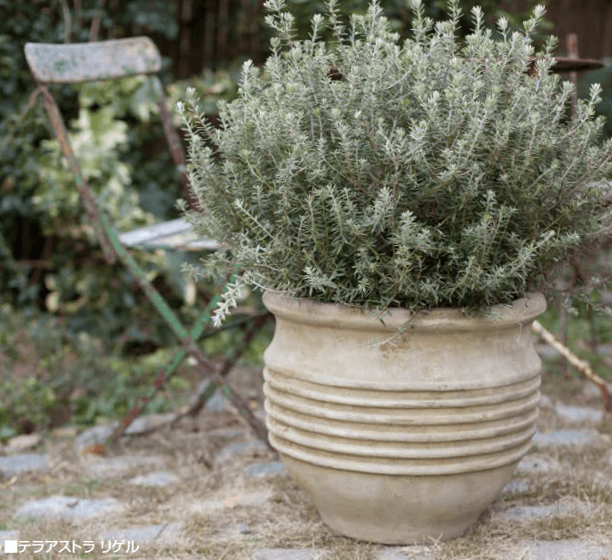 オンリーワンクラブの「テラアストラ【2023年版】」のサブ画像2