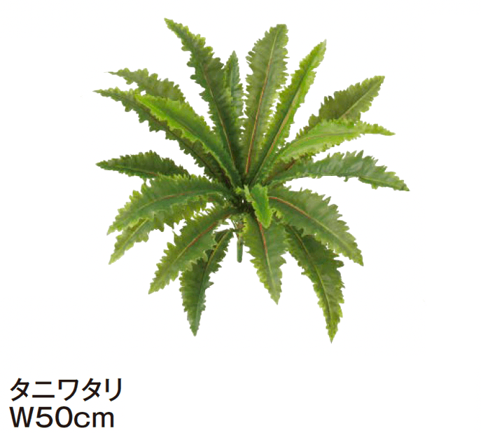 タカショーの「グランドカバー 下草【2024年版】」のサブ画像17