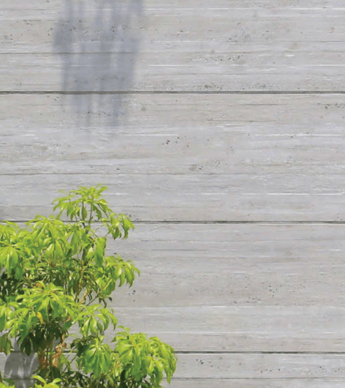 EXDECOの「セラウォールRC杉板(壁付け専用)」