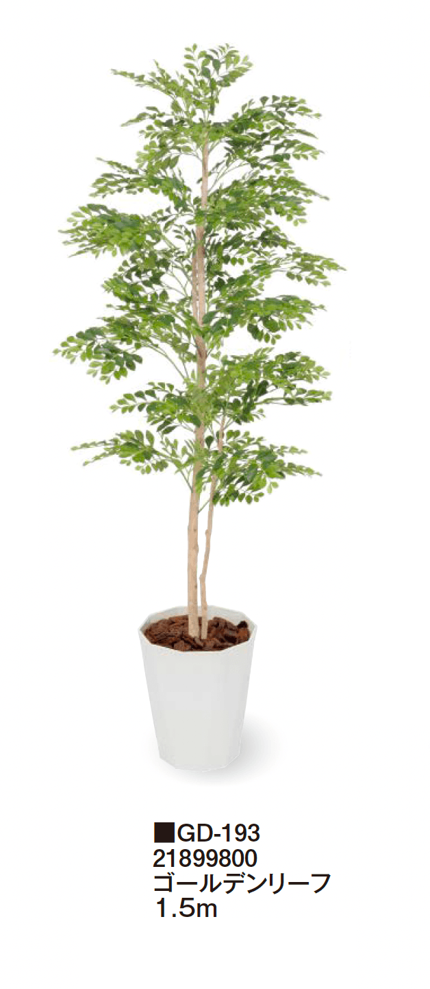 タカショーの「観葉植物【2024年版】」のサブ画像31