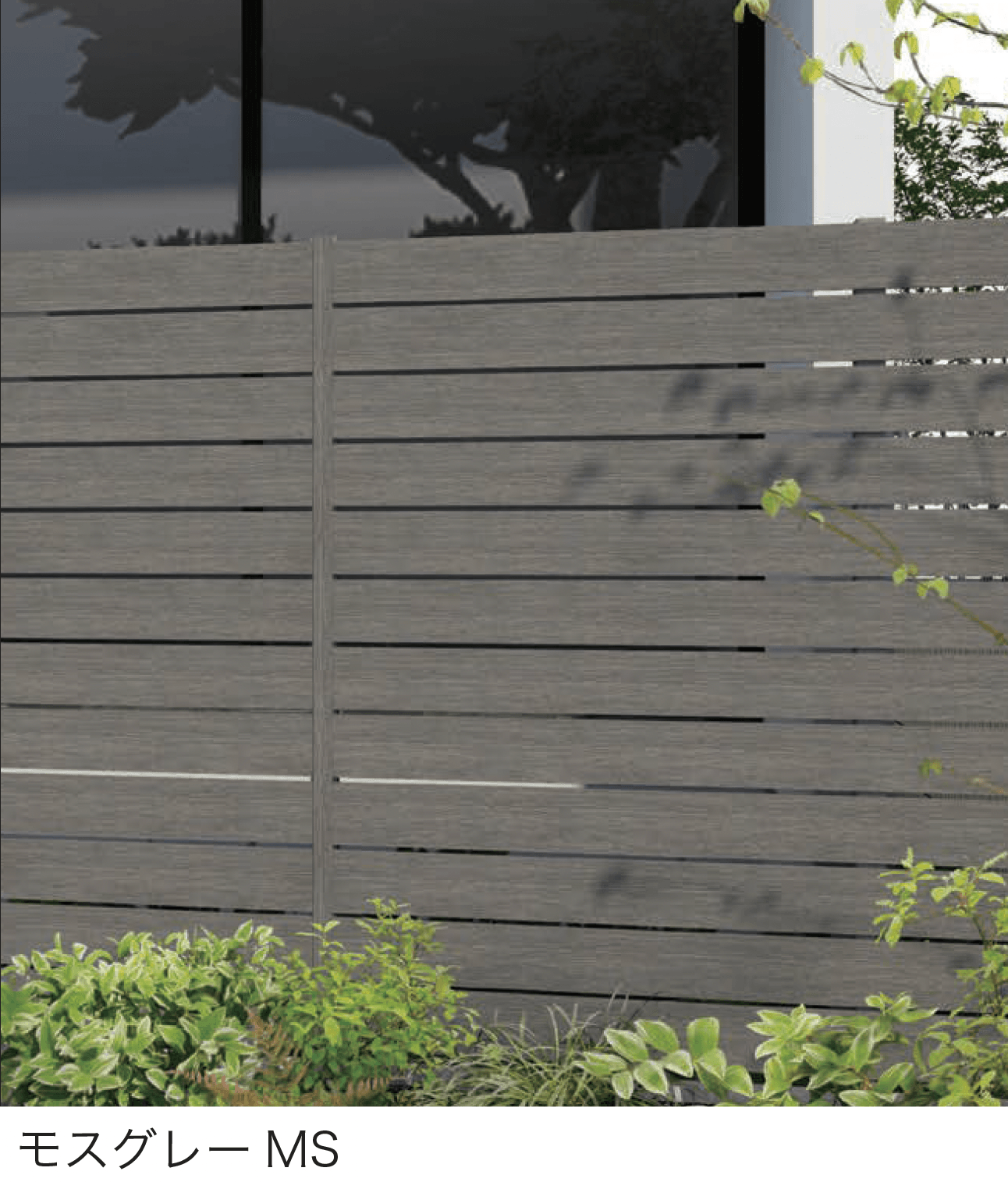 F&Fの「マイディウッド プレミアム」のサブ画像4