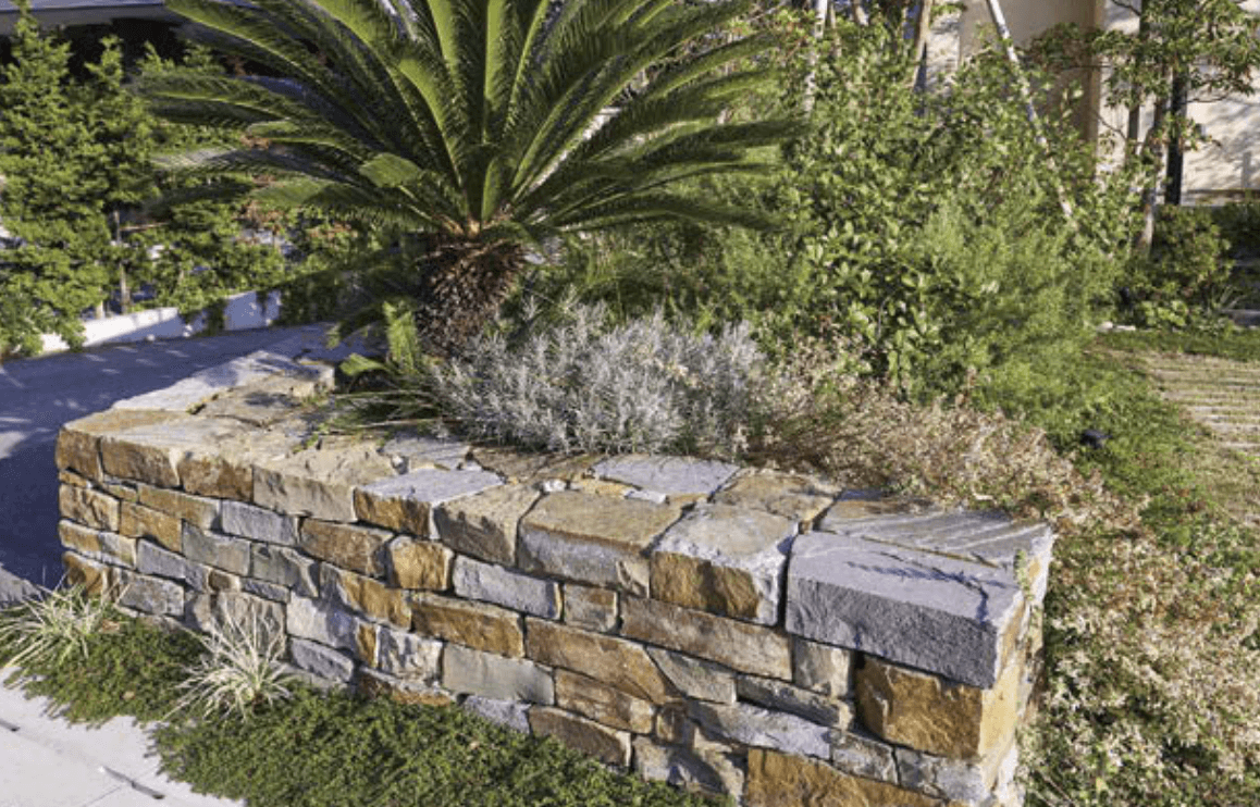 オンリーワンクラブの「アルデンヌ」のサブ画像1