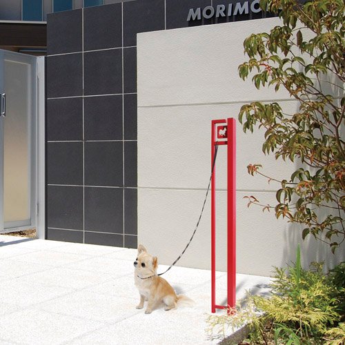 美濃クラフトの「ドッグステッキ かもん【2024年版】」