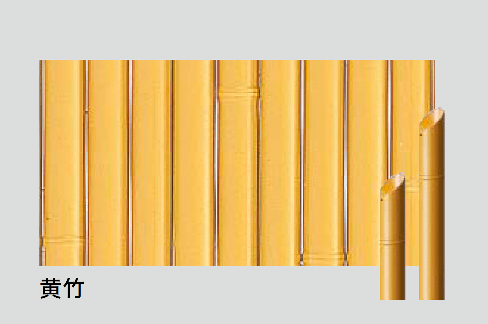 タカショーの「バンブースポットライト」のサブ画像2