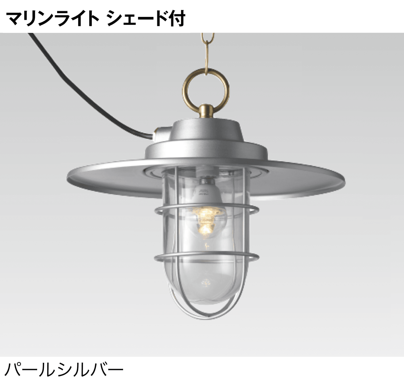 タカショーの「マリンライト ペンダントタイプ」