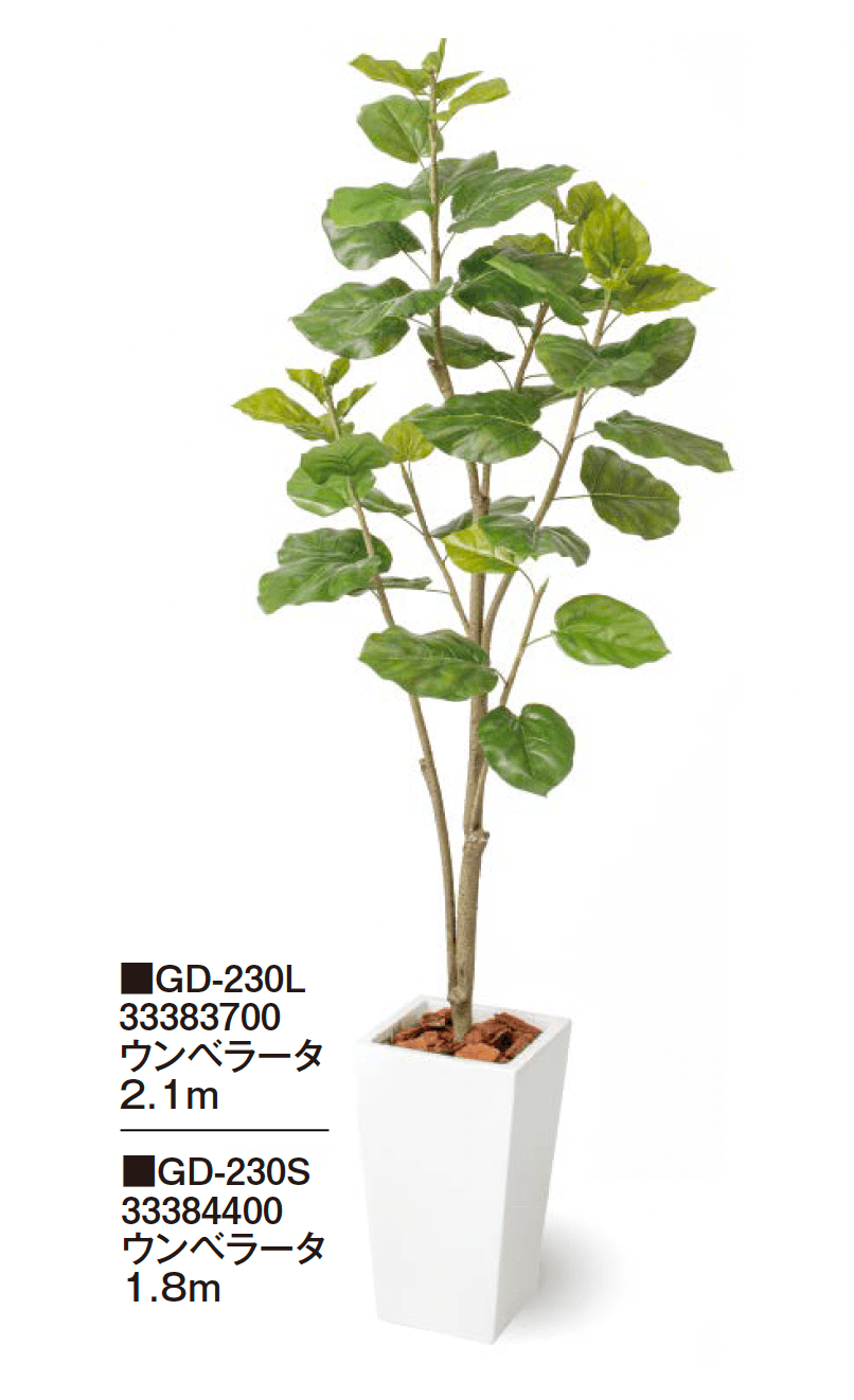 タカショーの「観葉植物【2024年版】」のサブ画像6