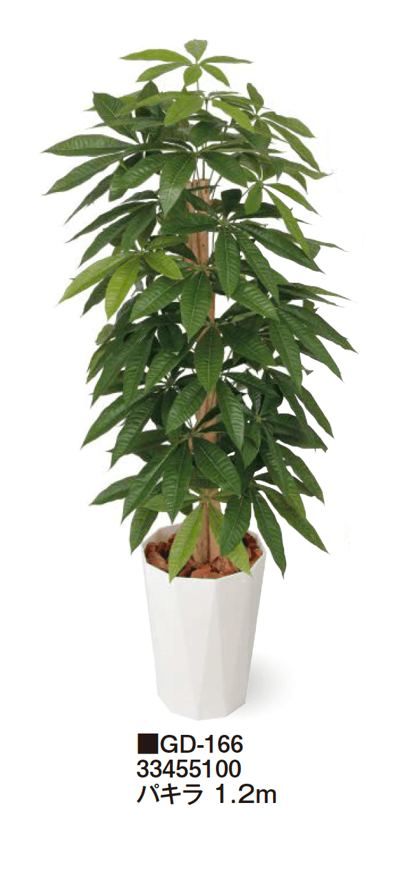 タカショーの「観葉植物【2024年版】」のサブ画像17