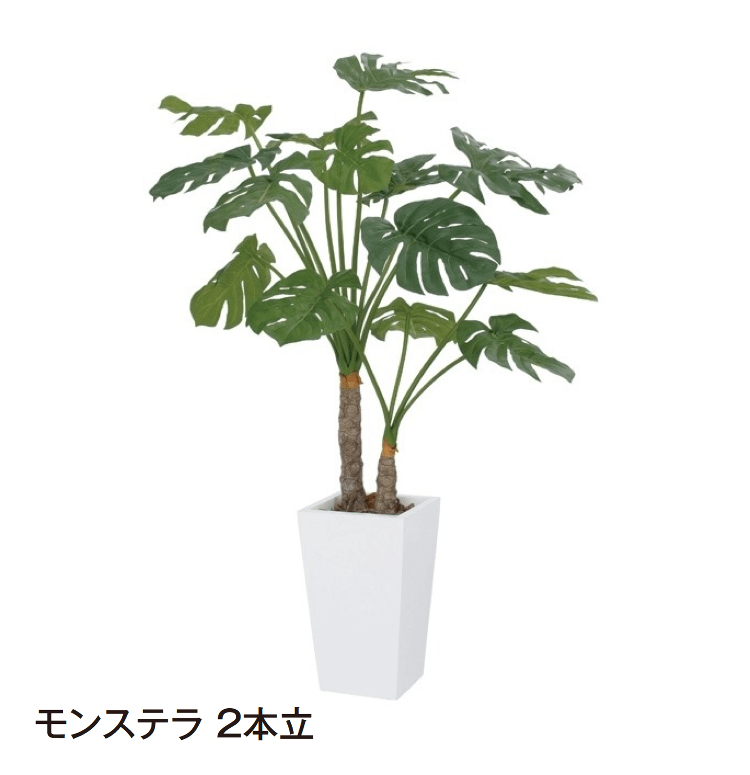 タカショーの「観葉植物」のサブ画像8