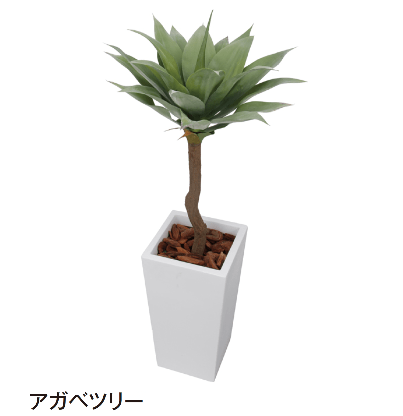 タカショーの「観葉植物」のサブ画像11