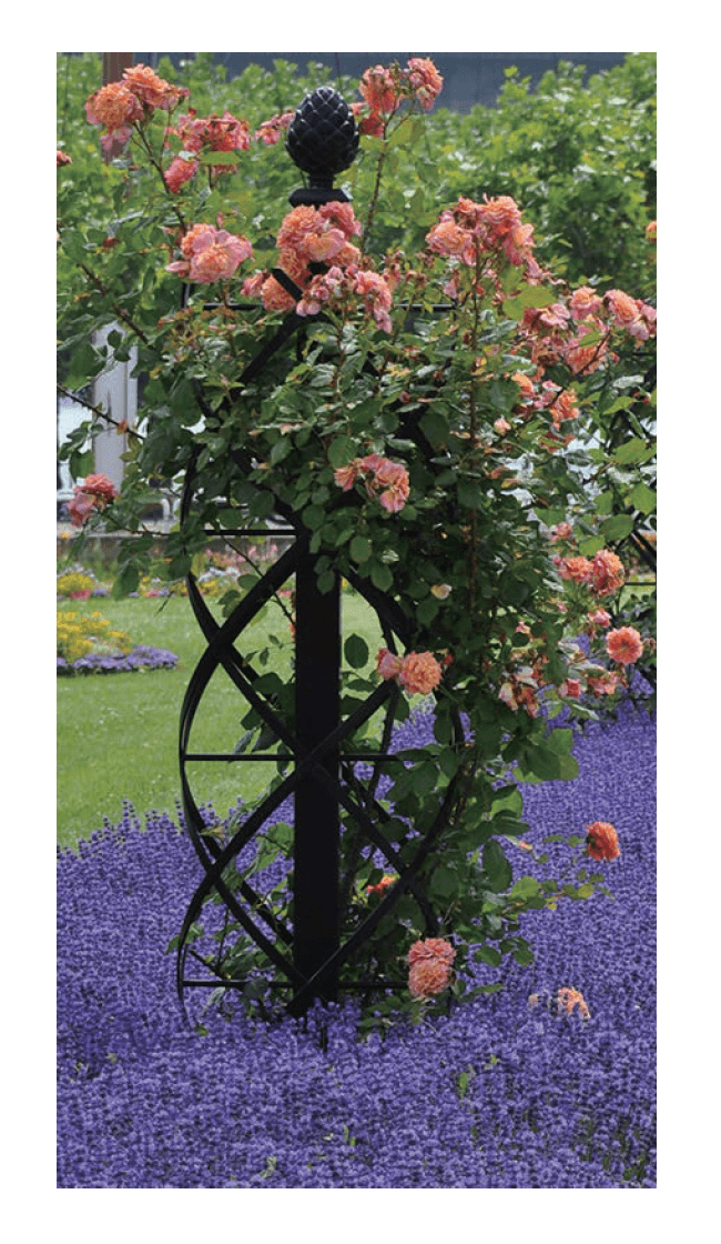 セキスイデザインワークスの「ローズサポート クラシック・ガーデン・エレメンツ」のサブ画像2