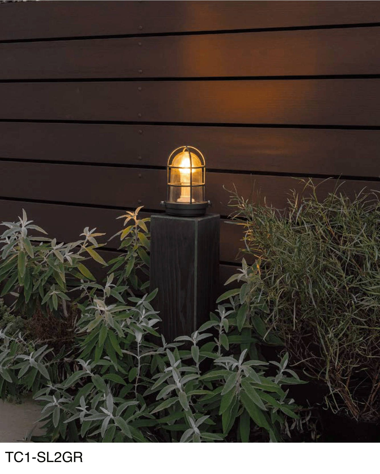 オンリーワンクラブの「サイラン」