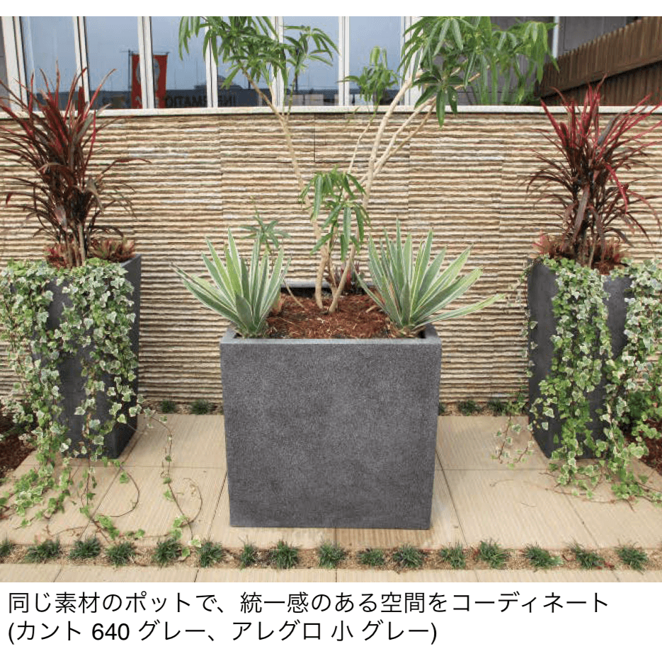 タカショーの「カント」のサブ画像1