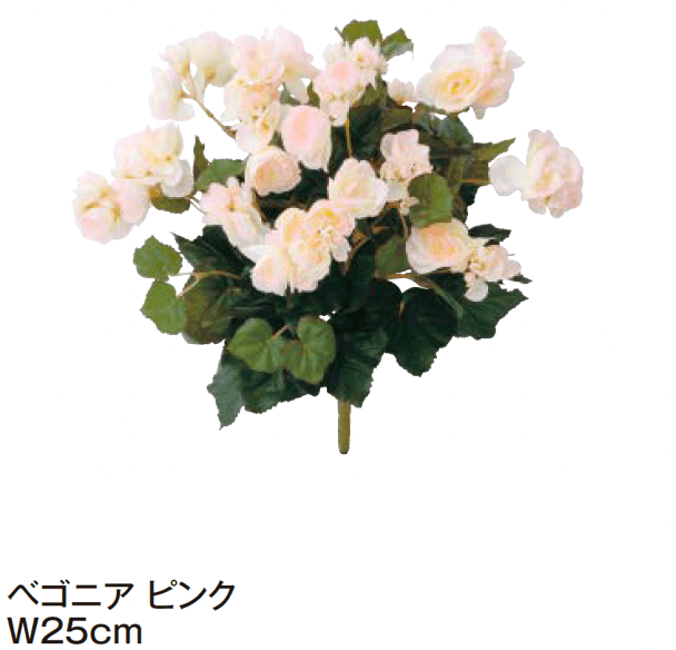 タカショーの「グランドカバー 下草【2024年版】」のサブ画像3