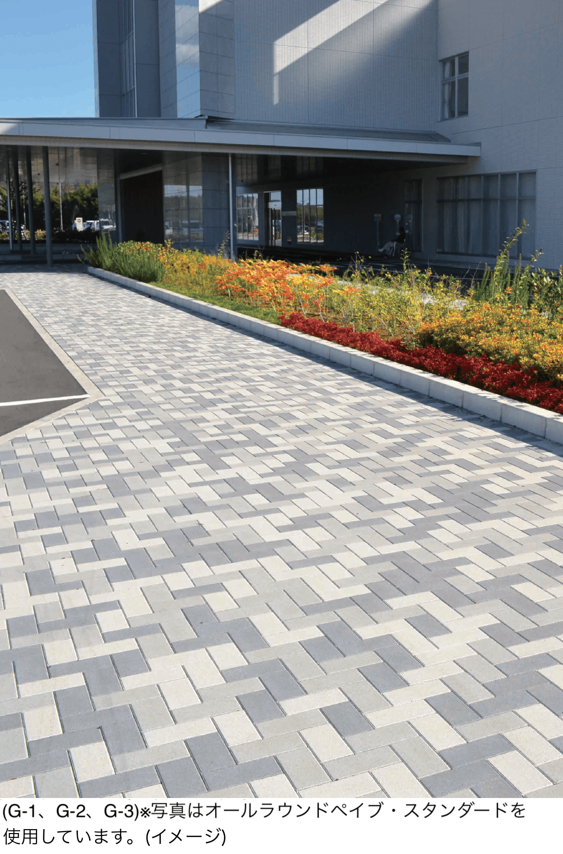 エスビックの「ローカーボン・ペイブ【2026年発売予定】」