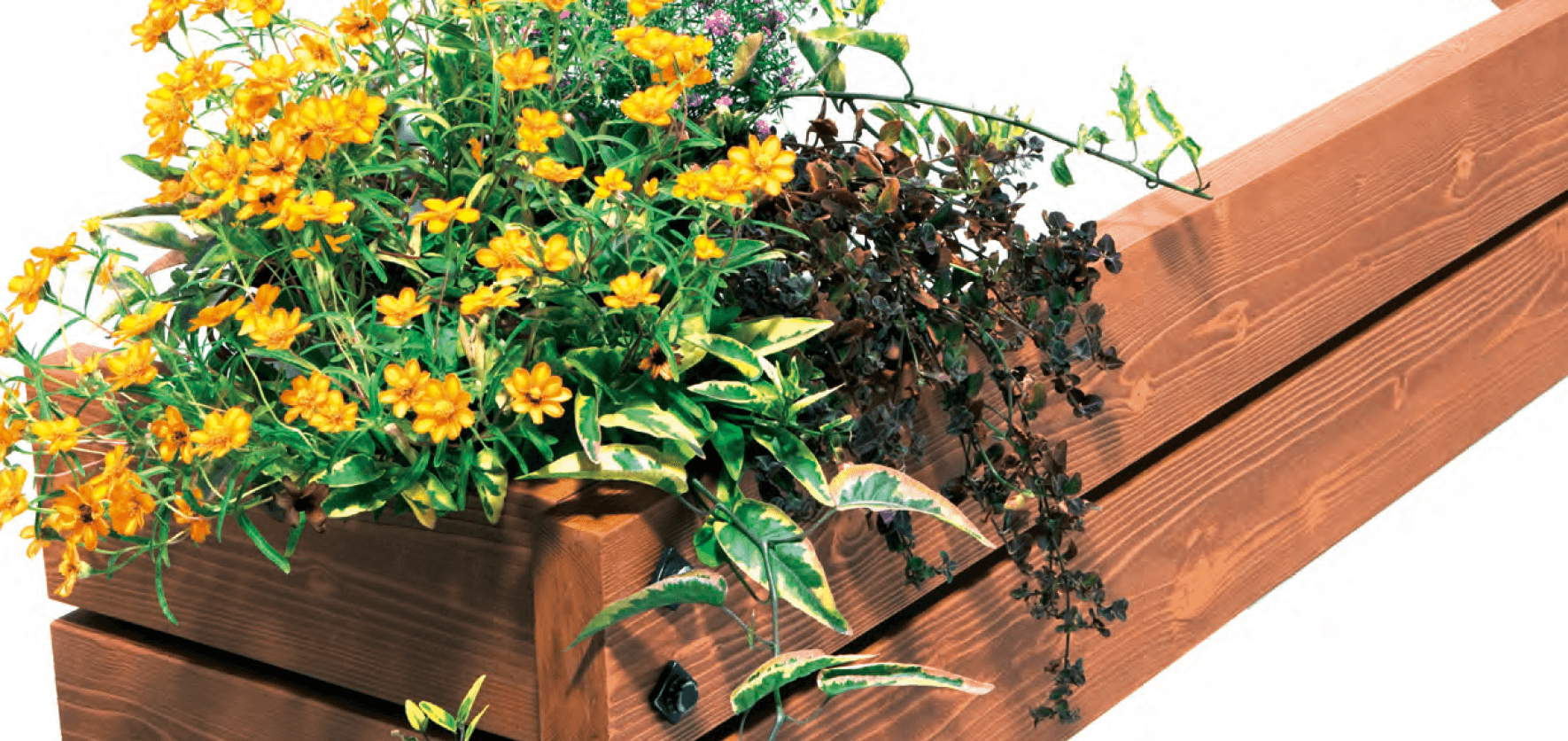 MINOの「彩木フラワーボックスⅡ【2024年版】」