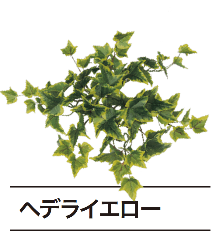 ゆとりの「ぴたっとグリーン【2024年版】」のサブ画像8