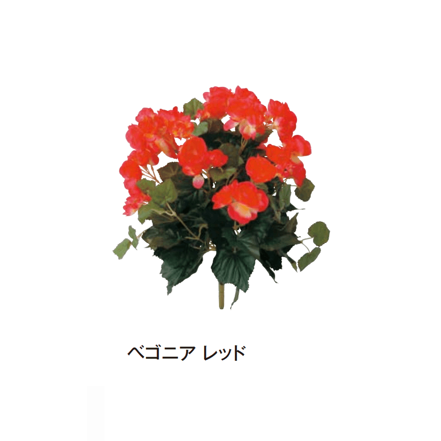 タカショーの「グランドカバー 下草」のサブ画像5