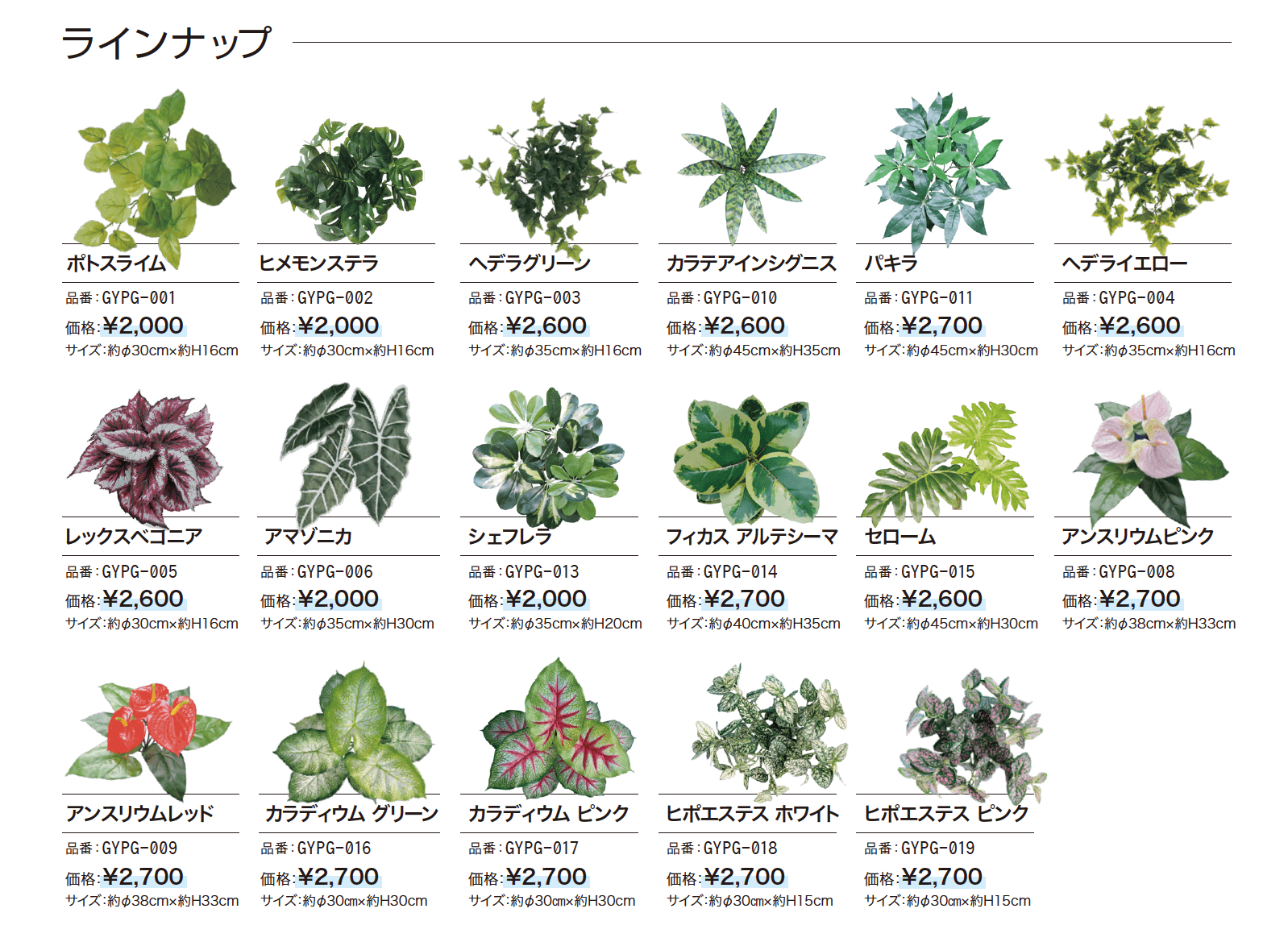 ぴたっとグリーン【2024年版】_価格_1