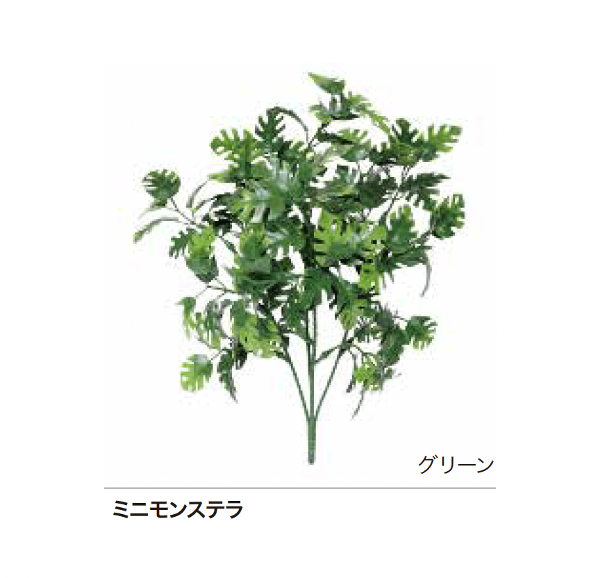 ゆとりの「Greem」のサブ画像8