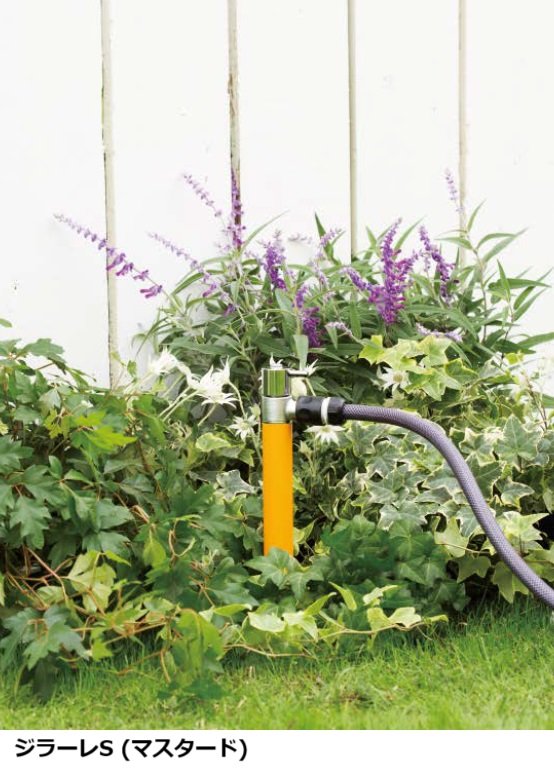 オンリーワンクラブの「ジラーレ【2023年版】」のサブ画像12