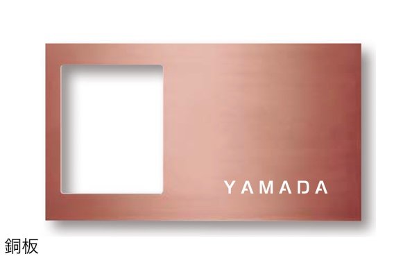 タカショーの「インターホンカバー タイプ2」