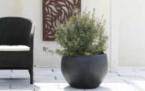 ゆとりの「ガーデンポット コカブ【2023年版】」