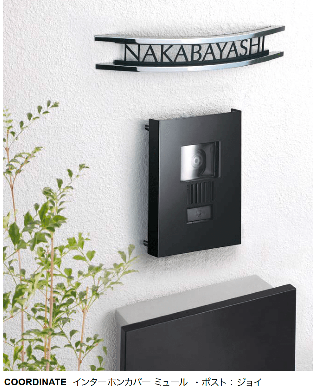 オンリーワンクラブの「ブリッツ」