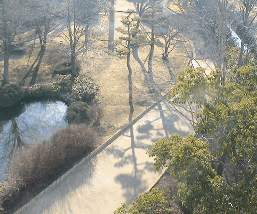 ゆとりの「ジオベスト 【2022年版】」