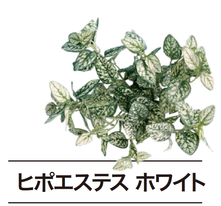 ゆとりの「ぴたっとグリーン【2024年版】」のサブ画像18