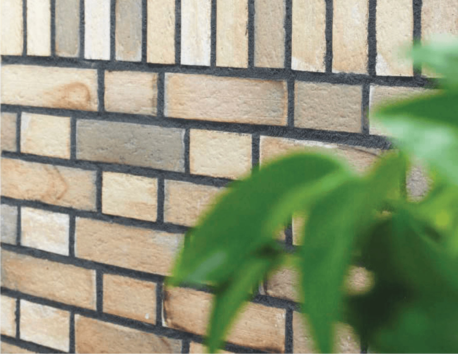 オンリーワンクラブの「オンリーワン ブリック モルタル」