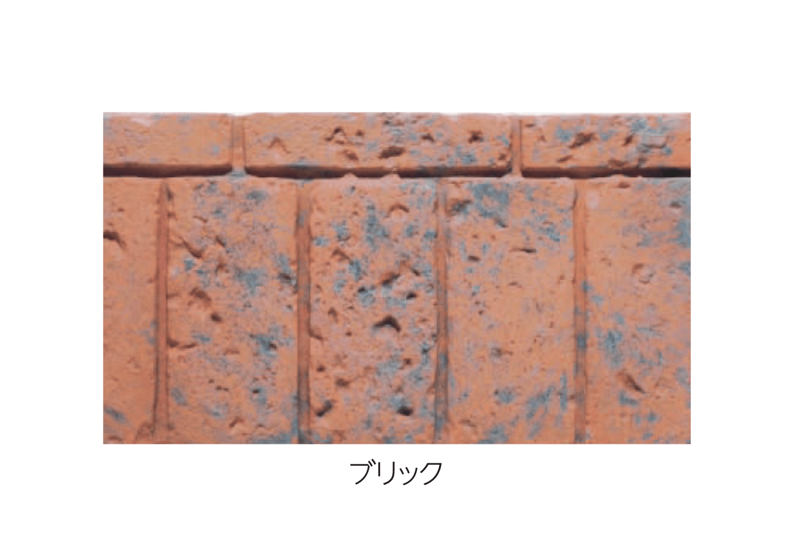 エスビックの「アクシア・ラスキン」のサブ画像5