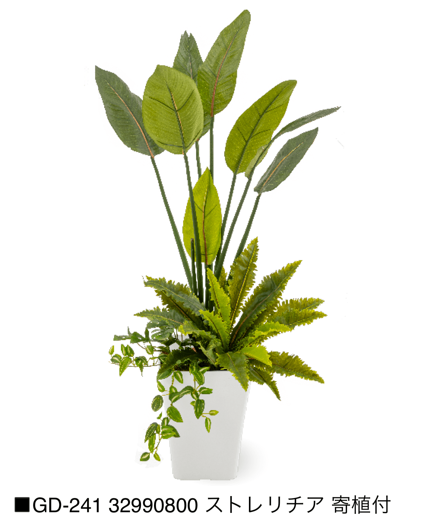 タカショーの「観葉植物【2025年版】」のサブ画像18