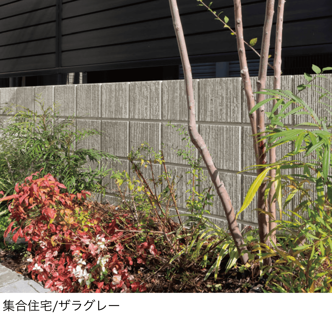 ユニソンの「エリダ®︎」
