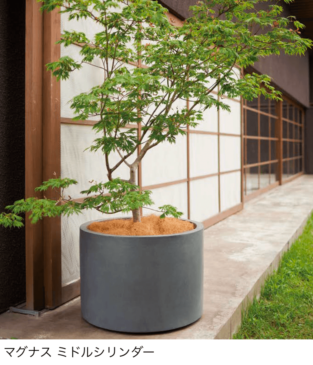 オンリーワンクラブの「マグナス」のサブ画像7