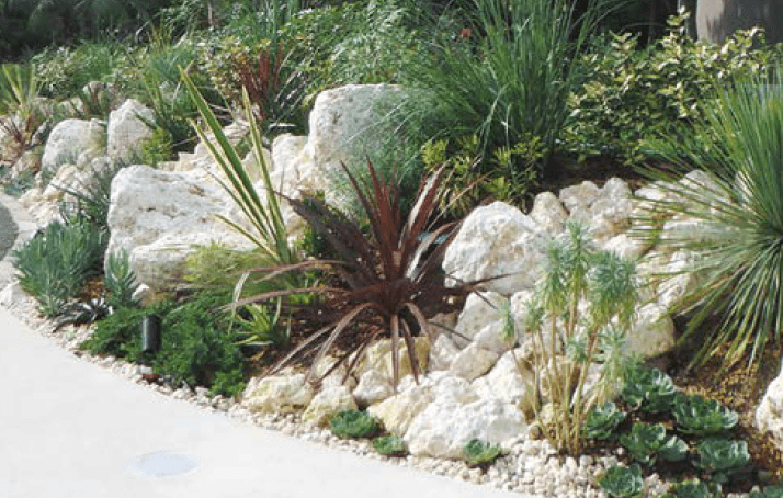 オンリーワンクラブの「琉球石灰岩【2023年版】」のサブ画像5