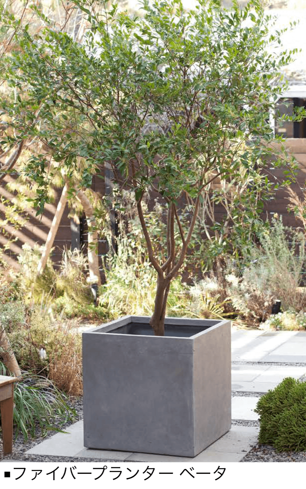 オンリーワンクラブの「ファイバープランター」のサブ画像2