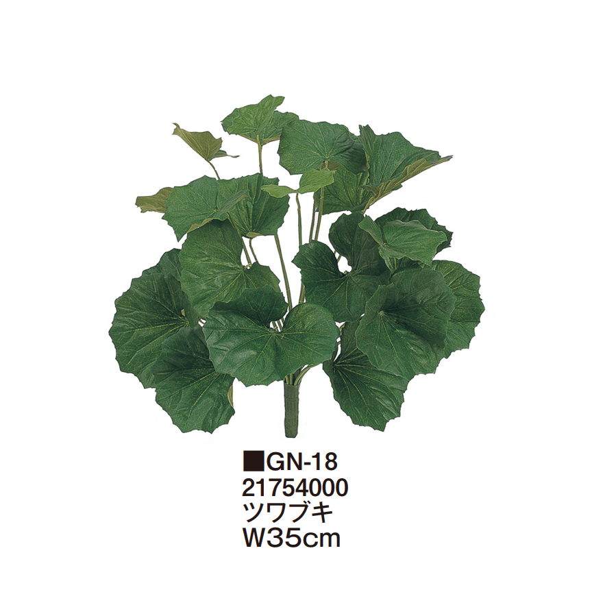 タカショーの「グランドカバー 下草【2025年版】」のサブ画像10