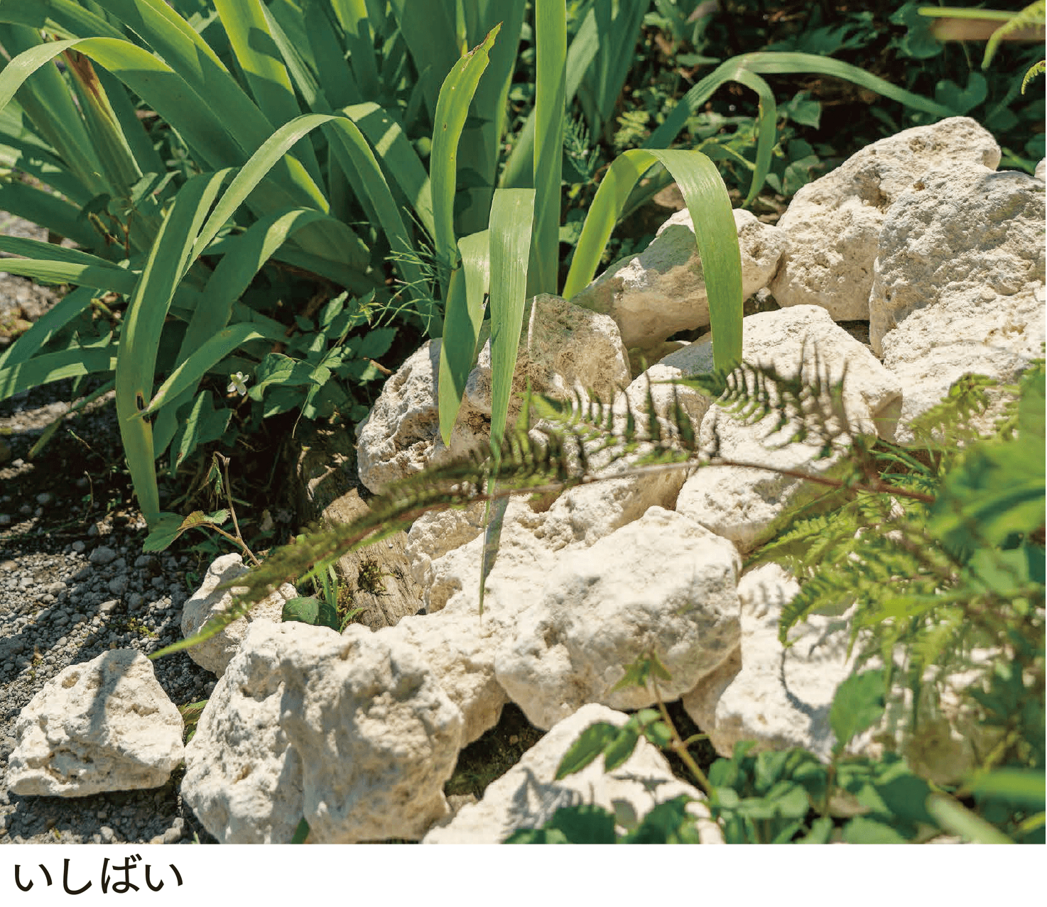 マチダコーポレーションの「和美ロック【NEW】」