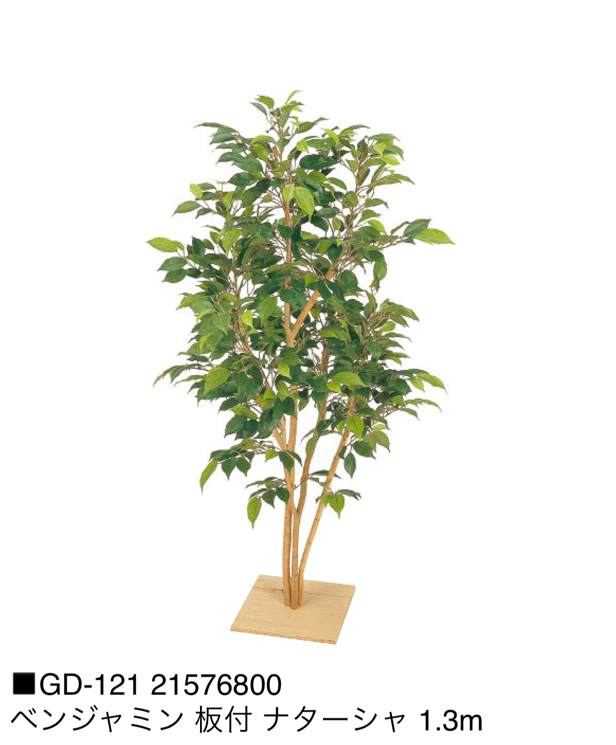 タカショーの「観葉植物【2025年版】」のサブ画像24